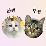 >♡雙雙&薇根♡<'s profile picture