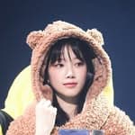 小熊茲哈🐻🐻's profile picture