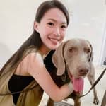 Alma Liu's profile picture