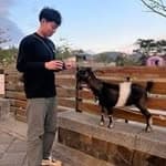 高雄租屋 少逸's profile picture